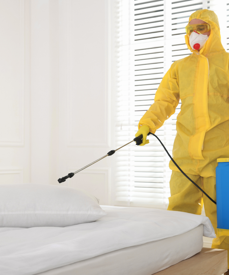 Professional Pest Control Team in Netley